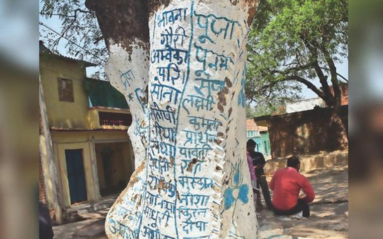 ‘દીકરીઓનું ગામ’ઃ દરેક વૃક્ષ, દ...