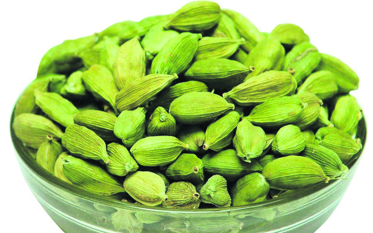 હેલ્થ ટિપ્સઃ કફ - શ્વાસ - ખાંસી -... હેલ્થ ટિપ્સઃ કફ - શ્વાસ - ખાંસી -...