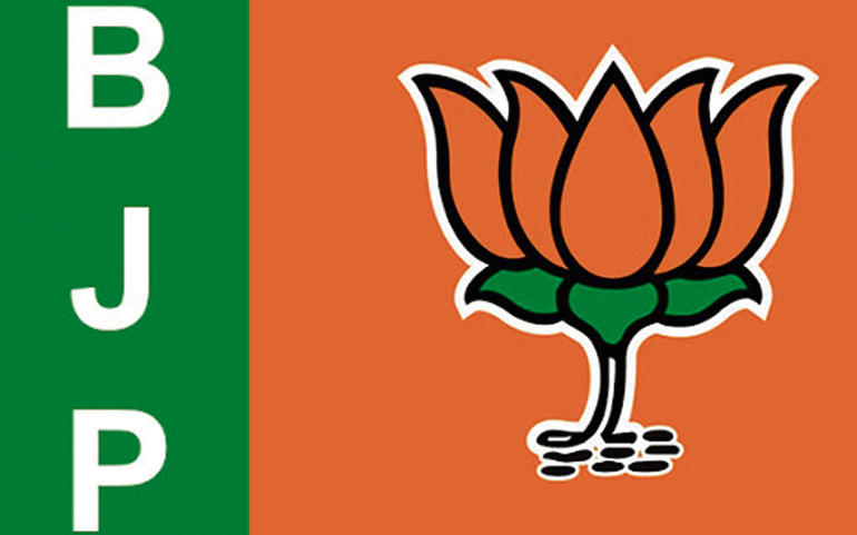 વંશવાદવિરોધી ભાજપમાં ફાટફાટ વંશવાદવિરોધી ભાજપમાં ફાટફાટ