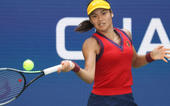 ટેનિસવિશ્વની ક્ષિતિજે ચમકતો 