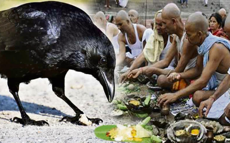 પિતૃઓને જીવતે જીવ એવા સંતૃપ્ત... પિતૃઓને જીવતે જીવ એવા સંતૃપ્ત...