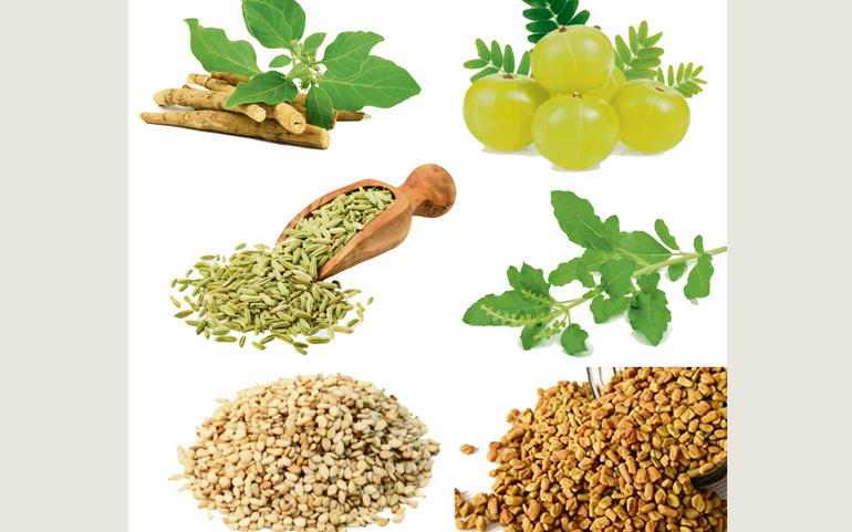 હેલ્થ ટિપ્સઃ વધતી વયે શરીરને સ... હેલ્થ ટિપ્સઃ વધતી વયે શરીરને સ...