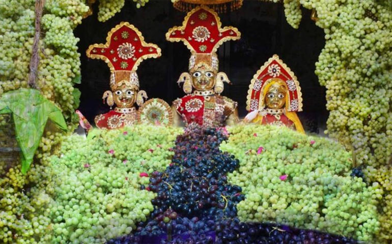 વડતાલ ધામમાં 6 ટન દ્રાક્ષનો અન વડતાલ ધામમાં 6 ટન દ્રાક્ષનો અન