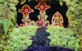 વડતાલ ધામમાં 6 ટન દ્રાક્ષનો અન