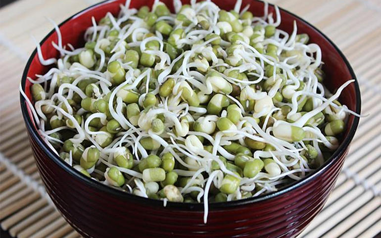 હેલ્થ ટિપ્સઃ વજન ઘટાડવા સાથે પ... હેલ્થ ટિપ્સઃ વજન ઘટાડવા સાથે પ...