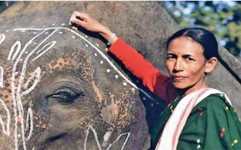 પ્રથમ મહિલા મહાવત : પાર્વતી બર પ્રથમ મહિલા મહાવત : પાર્વતી બર
