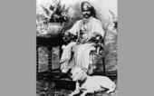 એકસો ડોલરના નવાબ મહાબત ખાન?...