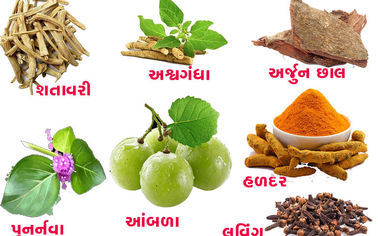 તમારાં રસોડાંને બનાવો તમારું તમારાં રસોડાંને બનાવો તમારું
