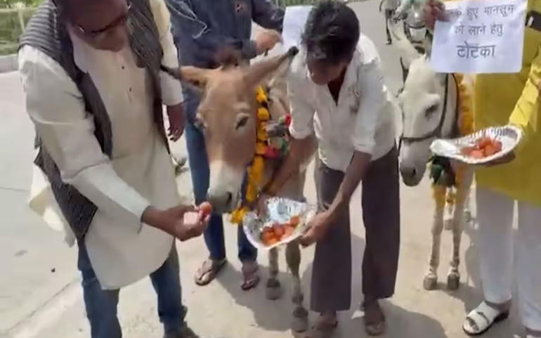 મેઘરાજાની મહેર માટે ગધેડાઓને 