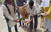 મેઘરાજાની મહેર માટે ગધેડાઓને 