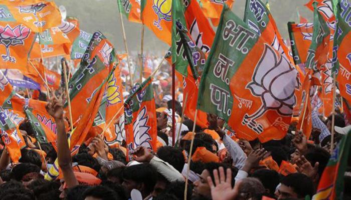 Bjp-wins