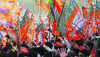 Bjp-wins