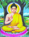 buddha2