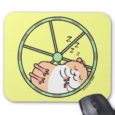 Cat sleeping