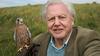 david attenborough