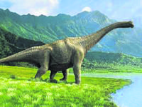 dinosour