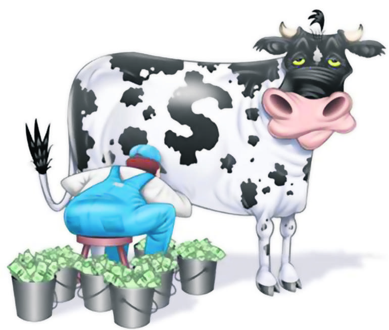 Dollor cow