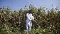 FARMER-CROP-DAMAGE-INDIA 1