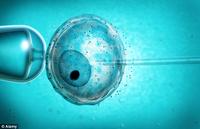 fertility technique-1 fertility technique-1