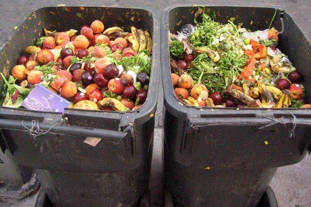 Food Wastage-2