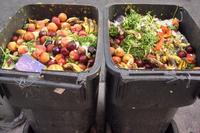 Food Wastage-2 Food Wastage-2