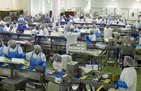 Greencore's sandwich factory