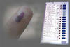 gujarat election