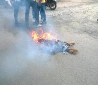 hardik Effigy