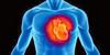 Healthy heart