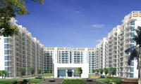 Indian-Real-Estate