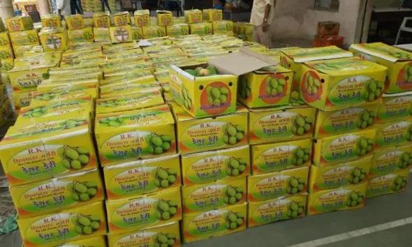 kesar keri yard