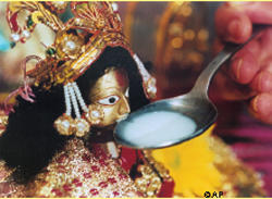 KRISHNA DRINK MILK