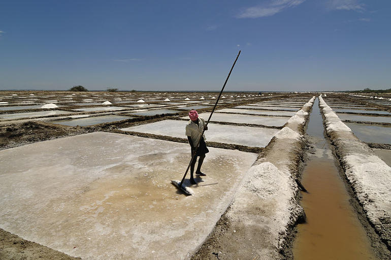 Kutch Salt