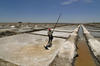 Kutch Salt
