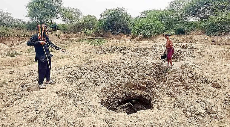kutch virda