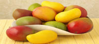 Kutchi mango