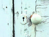Letting