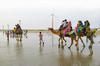 Mandvi_Beach_Photos_Kutch_Gujarat_Nri_Gujarati_India_Gujarat_News_Photos_2795
