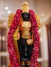 Nakuru - Murti Sthapana of Lord Balaji