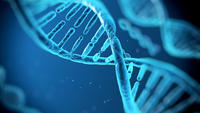 Poor health - the genes Poor health - the genes