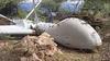 porbandar UAV crash