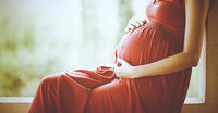 pregnant woman copy pregnant woman copy