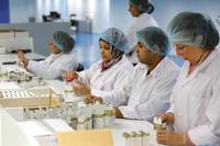 sun pharma1