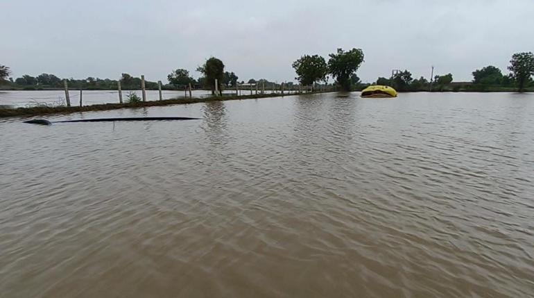 tharad savapur