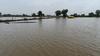tharad savapur