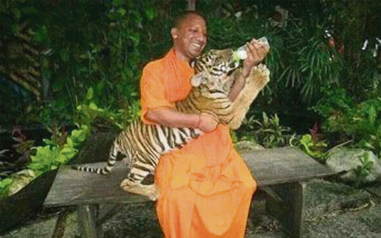 Yogi with Tiger